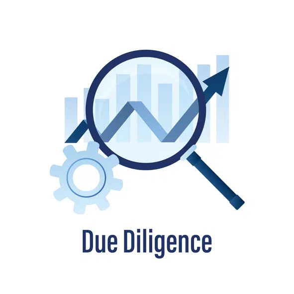 Business analysis and financial due diligence